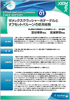 ゼメックスクラッシャーカテーテルとオフセットバルーンの使用経験