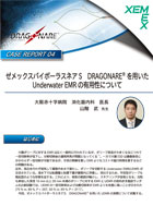 ゼメックスバイポーラスネアSDRAGONARE®を用いたUnderwater EMRの有用性について