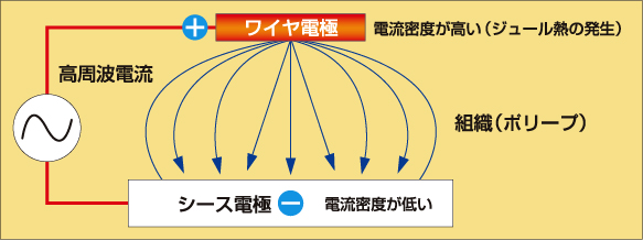 シース内に設けられたチューブによる絶縁構造